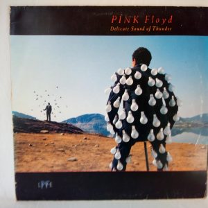 Pink Floyd: Delicate Sound Of Thunder | Vinyl record Pink Floyd Barcelona | Psychedelic Rock records Sale | Rock records shop Barcelona