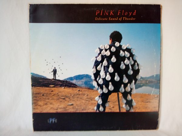 Pink Floyd: Delicate Sound Of Thunder | Vinyl record Pink Floyd Barcelona | Psychedelic Rock records Sale | Rock records shop Barcelona
